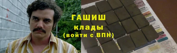 дмт Алзамай
