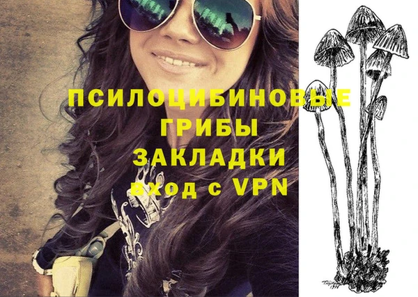 дмт Алзамай