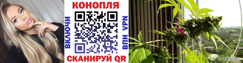 магазин продажи   кракен зеркало  Бошки марихуана Amnesia  darknet телеграм  Боготол 